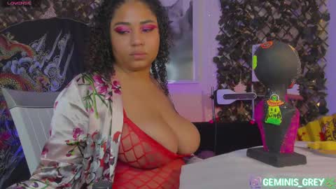 Snapshot of geminis_grey chatting on 02/15/25, 02:26 Geminis online show from 02/15/25, 02:26