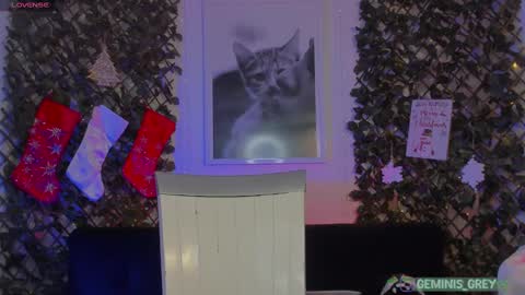 Snapshot of geminis_grey chatting on 02/26/25, 04:14 Geminis online show from 02/26/25, 04:14