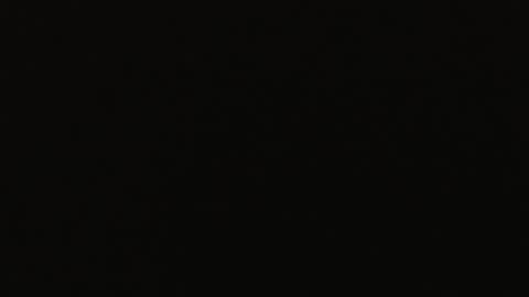 genitalwars online show from 12/22/25, 11:40