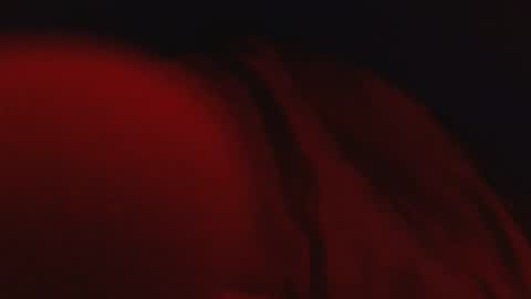 genitalwars online show from 03/04/26, 02:17