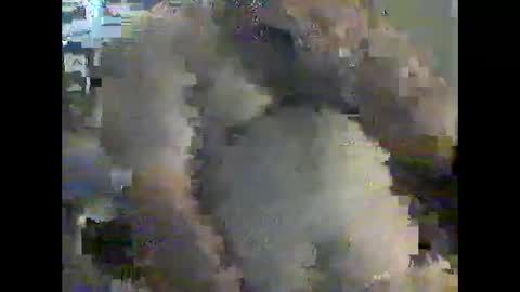 gerabo online show from 12/21/24, 04:57