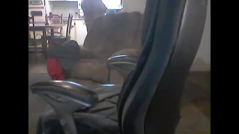 gerabo online show from 03/09/25, 04:05