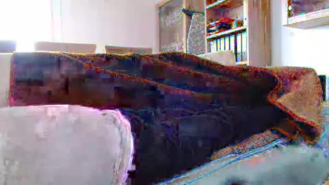 Snapshot of germanandy71 chatting on 12/29/24, 12:12 germanandy71 online show from 12/29/24, 12:12