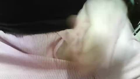 germandaddydick1 online show from 10/25/25, 08:03