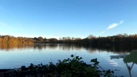 Snapshot of germanwankingman92 chatting on 11/05/25, 03:12 Pink Dog online show from 11/05/25, 03:12