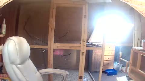 germany_50 online show from 09/20/25, 06:36