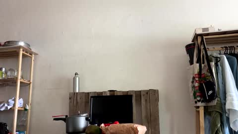 gerson229 online show from 01/06/26, 04:11