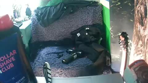 getfucked321jake online show from 01/16/25, 12:31