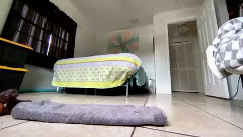 Getngetout88 online show from 03/19/26, 06:23