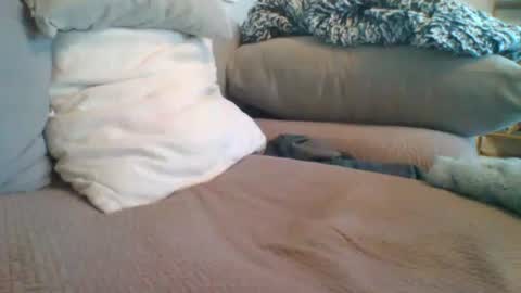 Snapshot of getsome11 chatting on 03/08/26, 12:53 Getsome11 online show from 03/08/26, 12:53