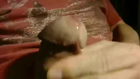 gettingstiff online show from 01/12/26, 12:10