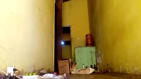 Gaby online show from 11/14/25, 06:50