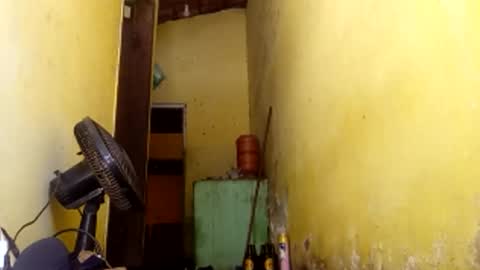 Gaby online show from 04/09/26, 04:45