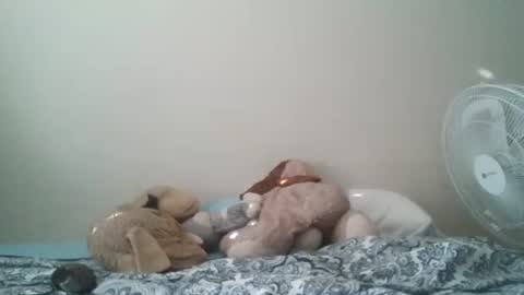 ghansberger2 online show from 03/11/26, 11:44