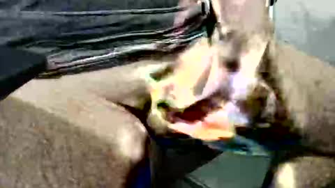 ghost1805 online show from 10/14/25, 03:51