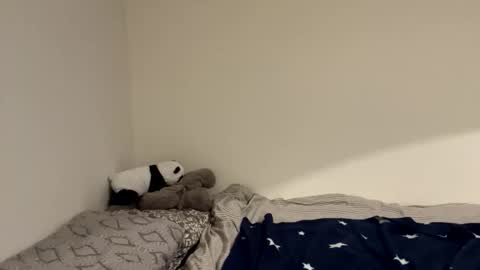 ghostpetal online show from 12/18/25, 12:17