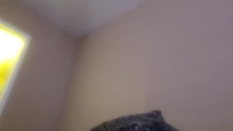 Snapshot of ghuntz22 chatting on 10/15/25, 12:16 ghuntz22 online show from 10/15/25, 12:16