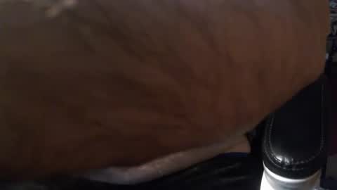 Gianni9000000 online show from 02/05/26, 02:43