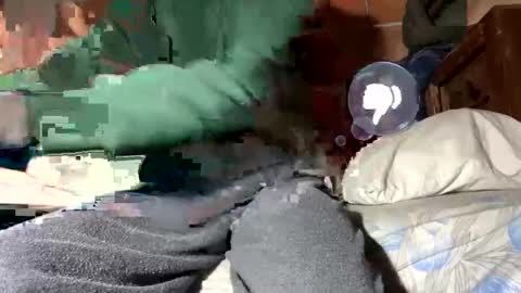 Corrado online show from 01/12/25, 02:30