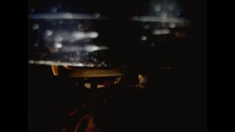 giftedbiker online show from 02/20/25, 05:44