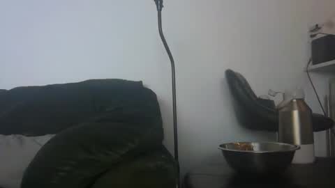 Snapshot of gildedsins1 chatting on 02/24/26, 06:33 WildBoyVibes online show from 02/24/26, 06:33