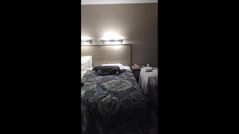 gilf_gamer online show from 03/01/26, 02:24