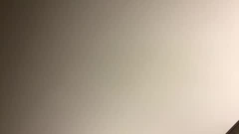 gingercockring online show from 03/09/25, 07:12