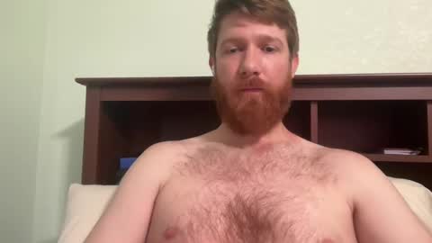 Snapshot of gingermania10 chatting on 12/04/24, 06:39 gingermania10 online show from 12/04/24, 06:39