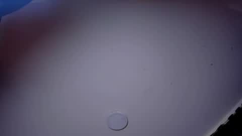 Snapshot of giomar_reyes chatting on 06/10/26, 08:52 GIOMAR REYES online show from 06/10/26, 08:52