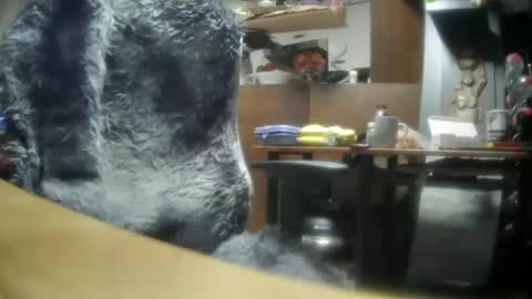 giovanne1 online show from 12/08/24, 06:22