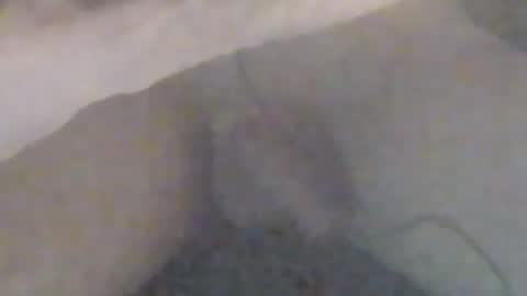 lovegirlscallme online show from 01/12/26, 09:09