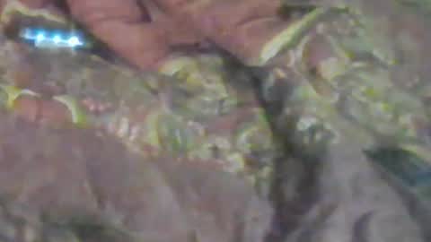 lovegirlscallme online show from 01/17/26, 08:52