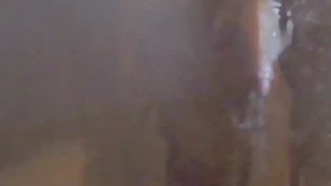 lovegirlscallme online show from 03/07/26, 10:40