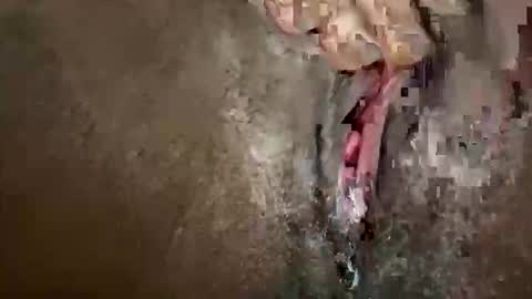 Snapshot of glazehoney chatting on 10/28/25, 03:25 glazehoney online show from 10/28/25, 03:25