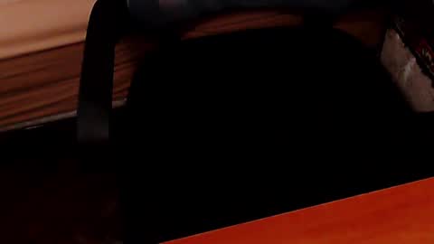 Snapshot of glebryba chatting on 02/27/25, 04:53 glebryba online show from 02/27/25, 04:53