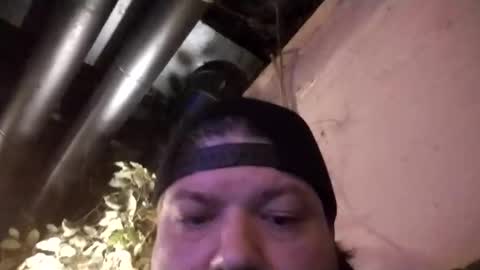 gleeguy online show from 11/05/25, 06:57