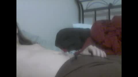 Snapshot of glitchingglob chatting on 01/12/25, 03:17 glitchingglob online show from 01/12/25, 03:17