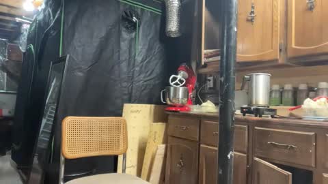 globalmovement online show from 03/25/26, 07:31