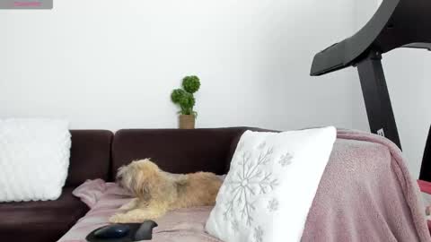 Alice online show from 01/13/26, 10:26