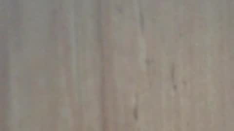 Glyder online show from 02/07/25, 03:41