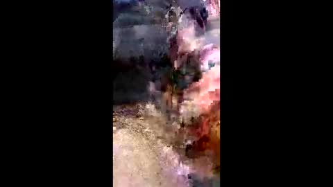 dan online show from 02/22/26, 07:45