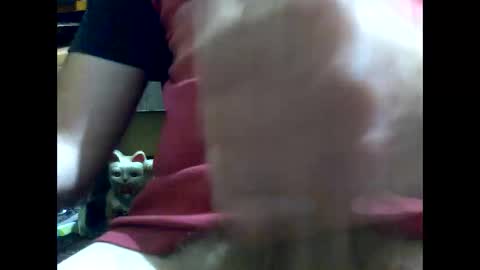 Snapshot of gmjavenger chatting on 01/17/25, 08:45 PencilDick online show from 01/17/25, 08:45