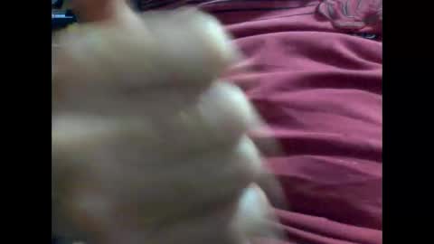 Snapshot of gmjavenger chatting on 02/09/25, 08:54 PencilDick online show from 02/09/25, 08:54