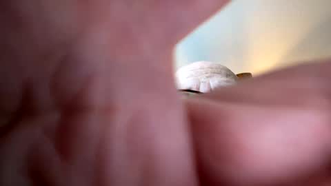 Snapshot of gngnxxx chatting on 10/07/25, 12:02 gngnxxx online show from 10/07/25, 12:02