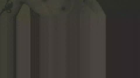 Snapshot of gnz310388 chatting on 02/12/26, 01:11 gnz310388 online show from 02/12/26, 01:11