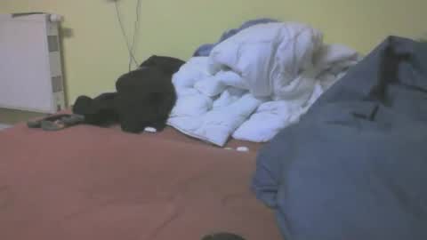 Snapshot of gnz310388 chatting on 03/04/26, 07:20 gnz310388 online show from 03/04/26, 07:20