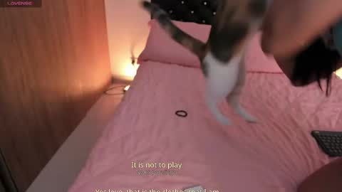 goddess_eli77 online show from 10/04/25, 02:53