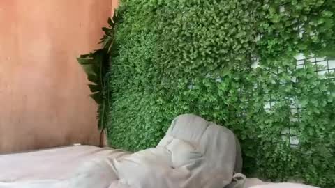 goddess_jennyxx online show from 03/29/26, 11:32