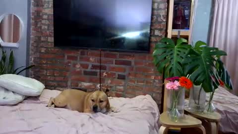 Goodess Jojo online show from 04/04/26, 01:15