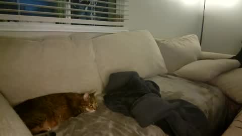 GoddessMayvn online show from 01/26/25, 10:34